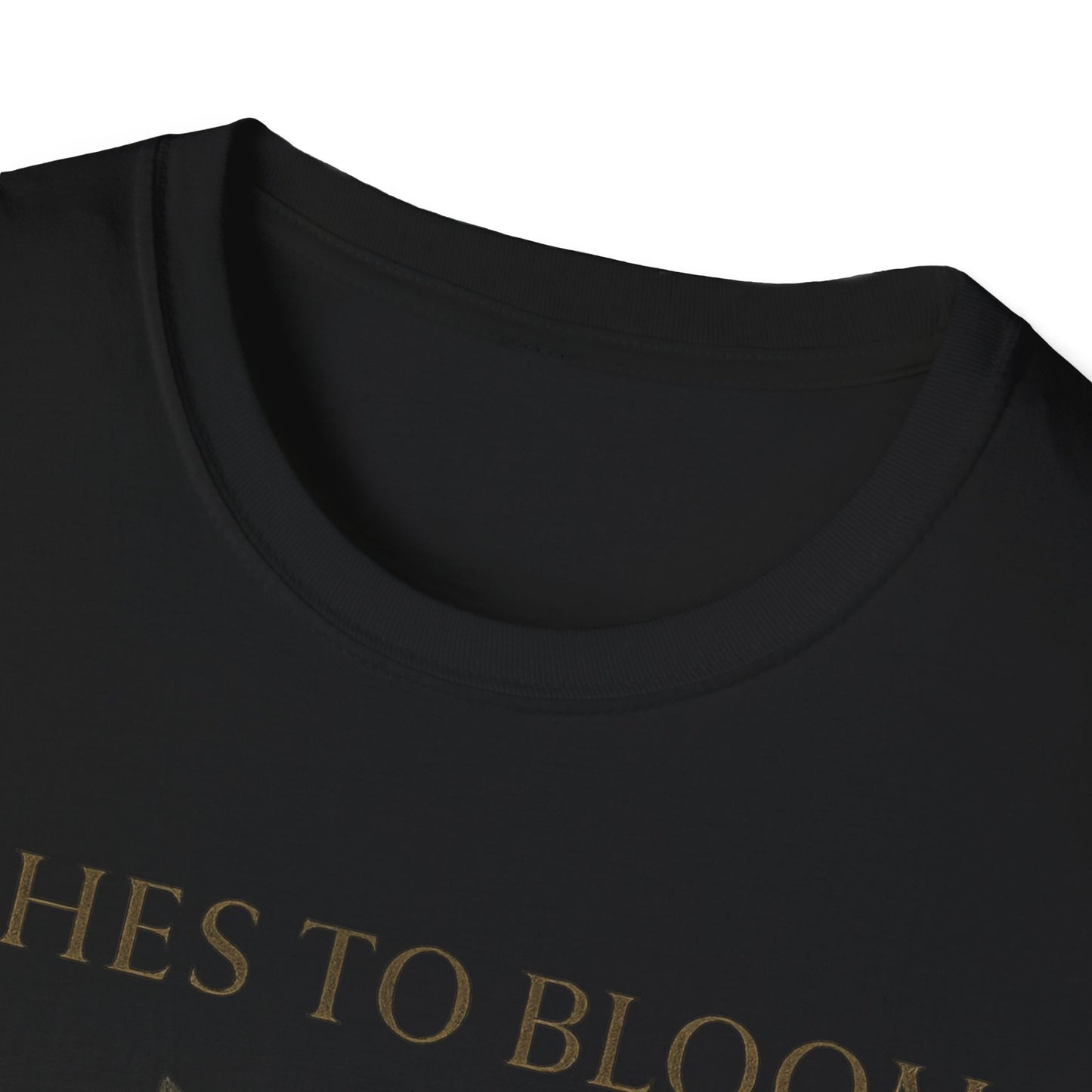 Ashes To Bloom