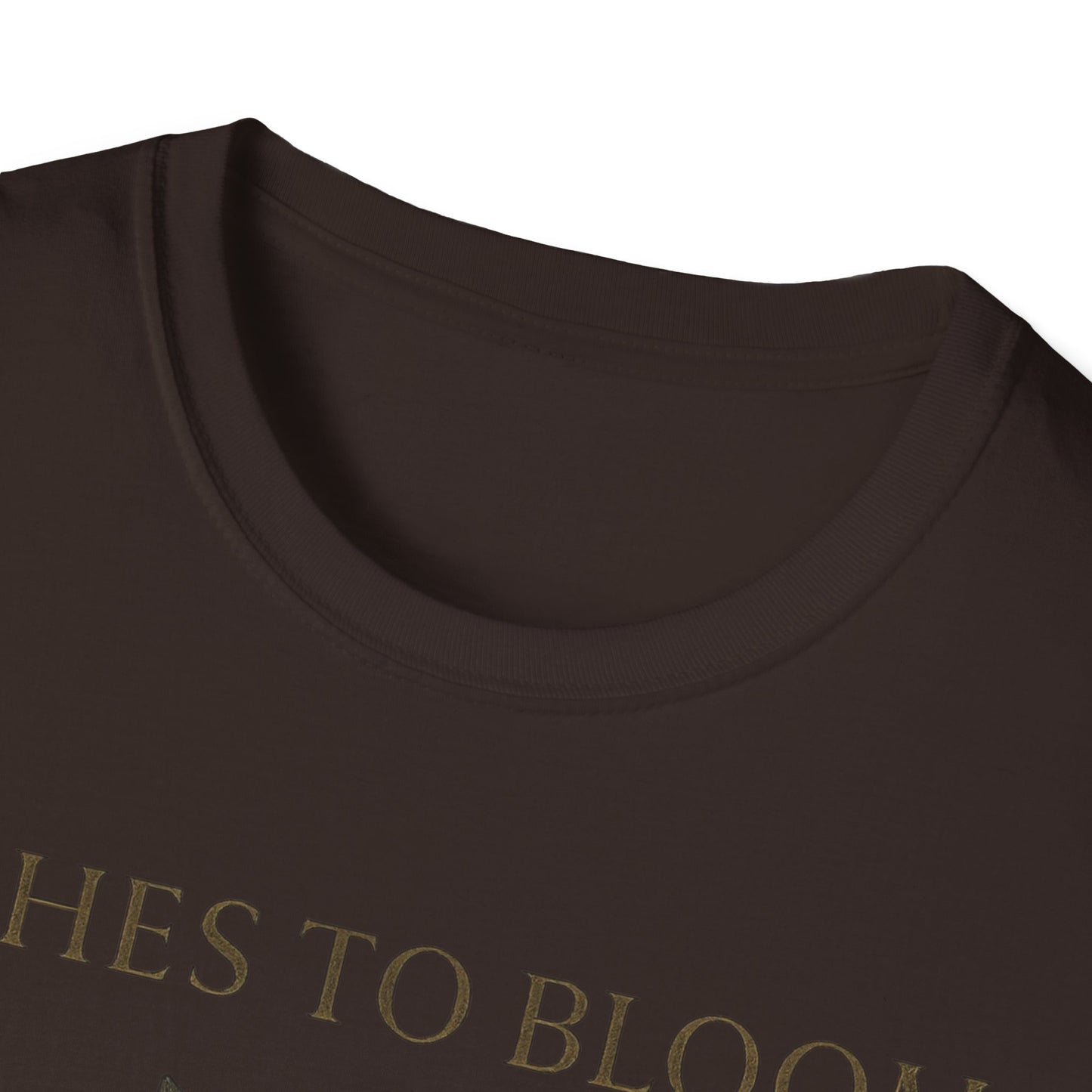 Ashes To Bloom